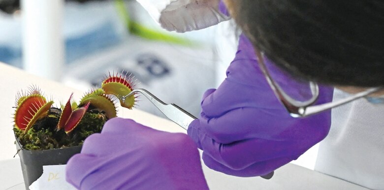 Tecnología y naturaleza: robots-plantas