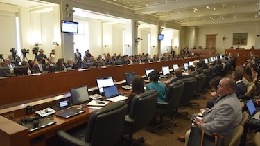 Países de la OEA piden a Bolivia convocar urgentemente a elecciones