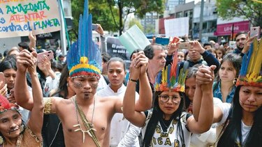 Levantan la voz por el Amazonas