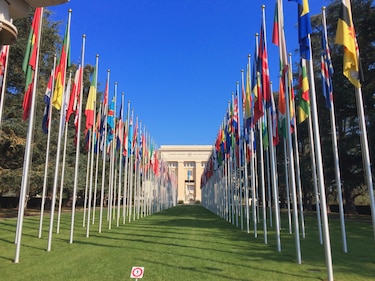 Una decisión crítica para el multilateralismo: la elección del secretario general de ONU