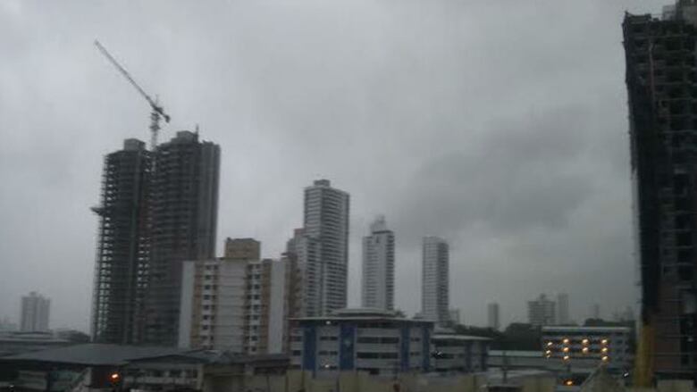 Aguacero causa caída de árboles y afecta servicio eléctrico en el país