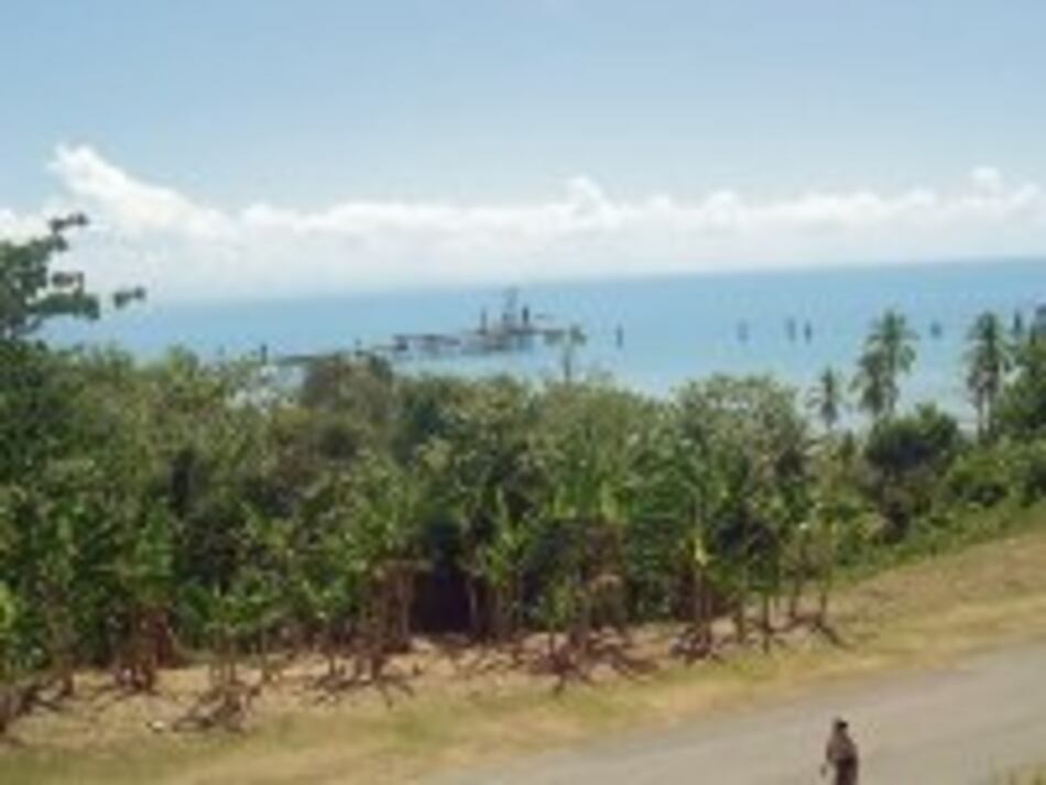 150 millones para ampliar PTP