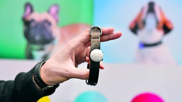 Accesorio perruno de ‘fitness’