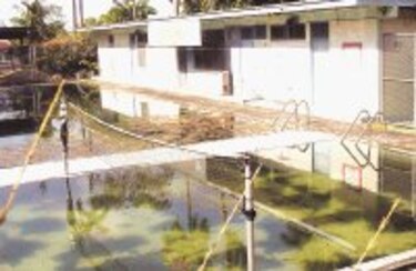 Limpiarán y habilitarán piscina de Los Ríos