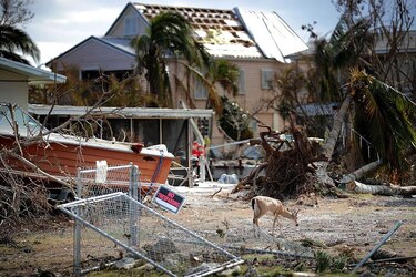 Trump visita Florida tras huracán Irma; se investiga muerte de ancianos