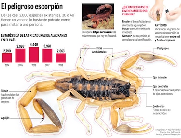 Picaduras de escorpión, un problema de salud pública