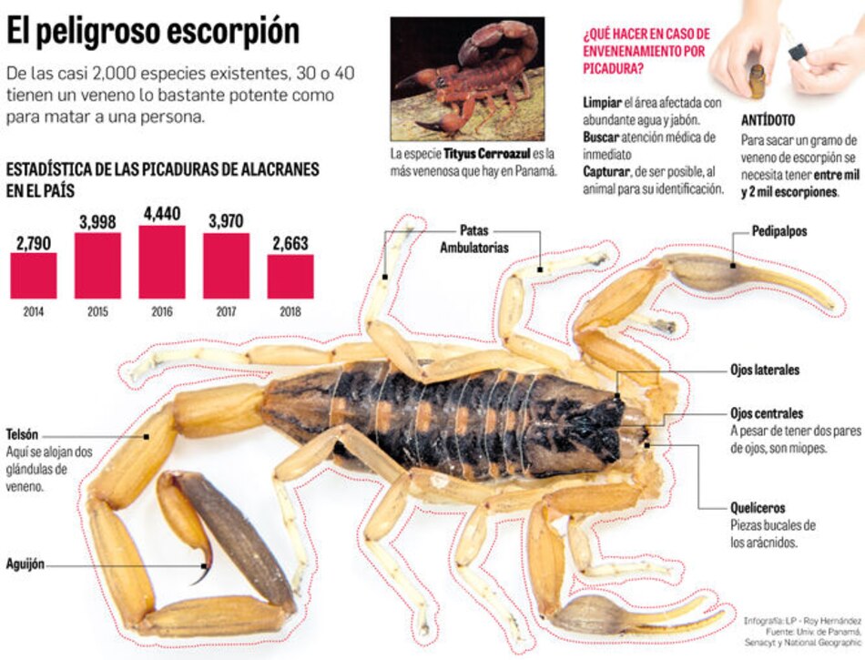 Picaduras de escorpión, un problema de salud pública