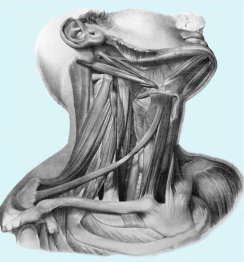 Mordida disfuncional: causa de algunas enfermedades de origen desconocido, donde aplica