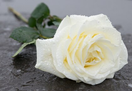 En memoria de Analida (Chispa) de Roux de Watson