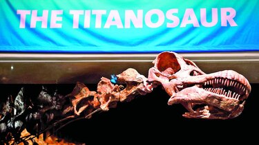 Nombran nueva especie de dinosaurio