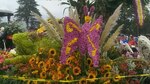 20 mil personas asisten a la segunda Parada de las Flores en Volcán