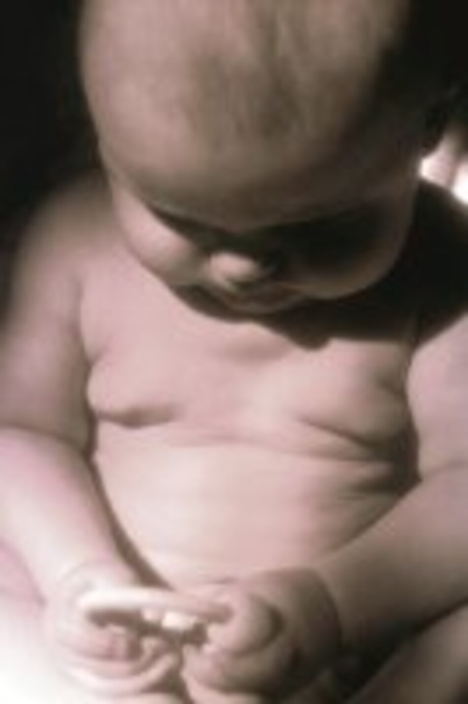 Dieta contra colesterol alto