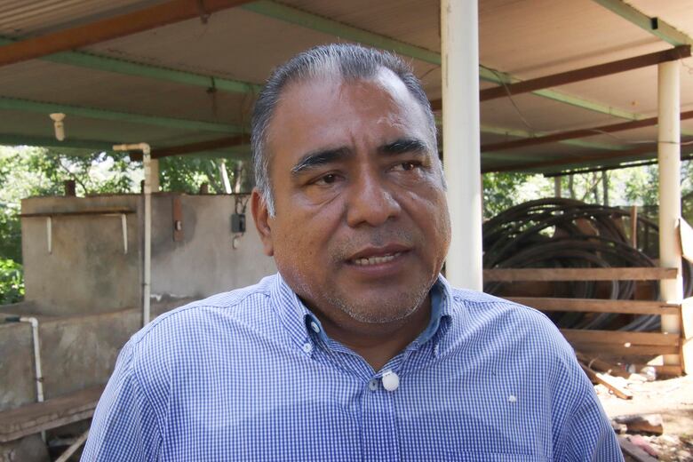 Aranceles de Trump amenazan al café latinoamericano, con precios récord del grano en Estados Unidos