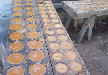 Entre trapiches y resistencia: la raspadura panameña frente a la panela importada