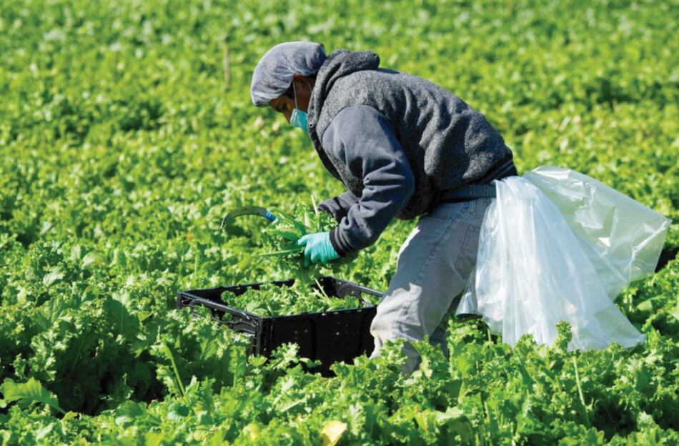 Rentabilidad agrícola de Estados Unidos en 2020 no se repetirá en una década