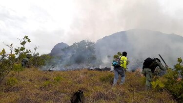Un incendio afecta 30 hectáreas de la reserva hídrica Cerro Guacamaya en Penonomé