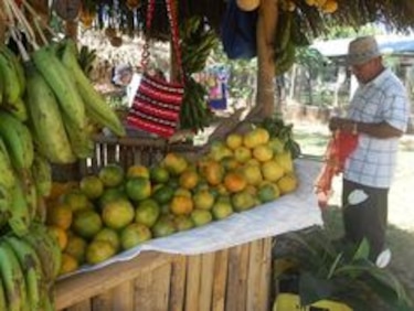 Arranca el IV Festival de la Naranja en Churuquita Grande
