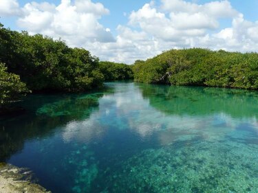 La Riviera Maya recibirá más de tres millones de turistas este año