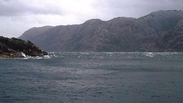 Las lecciones que aprendió el hombre que vivió durante un año solo con su gato en una remota isla de la Patagonia chilena
