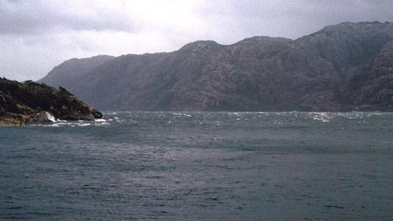 Las lecciones que aprendió el hombre que vivió durante un año solo con su gato en una remota isla de la Patagonia chilena