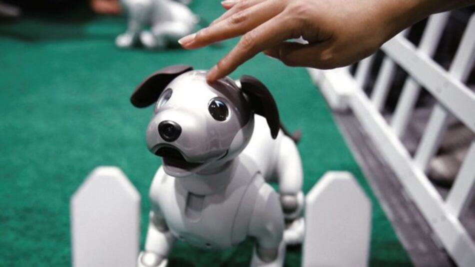 Sony venderá su mascota con inteligencia artificial en EU