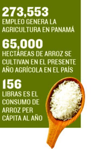 Trabajan en el rescate del sector primario