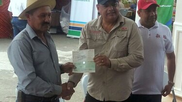 Productores herreranos pierden cultivos, pero son indemnizados