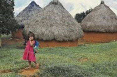 Ngöbes, millonarios en papel