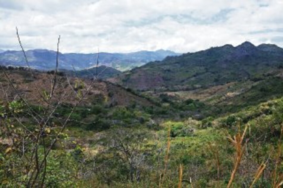 Fianzas penden de avalúo