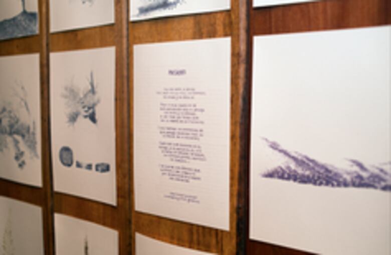 Proyecto de arte y ciencia de Panamá estará en festival europeo