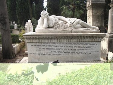 Los gatos de Roma están protegidos por ley