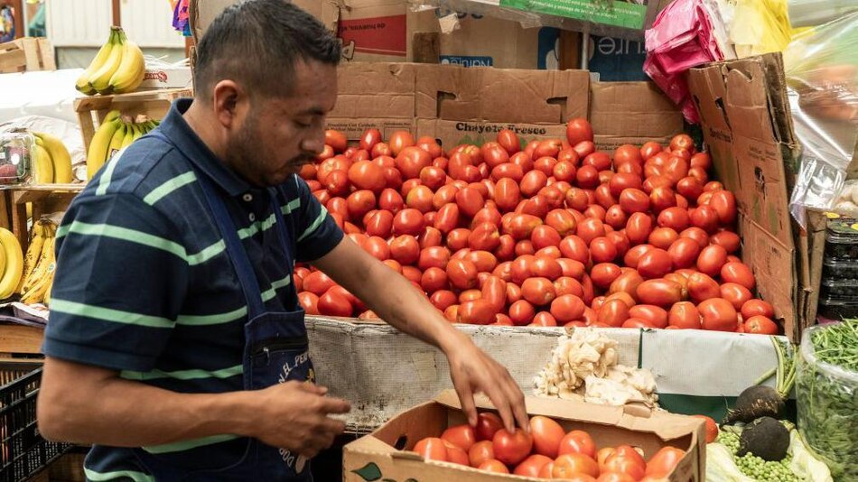3 efectos que pueden tener los aranceles que Trump impuso a los tomates mexicanos