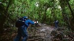 De vuelta al volcán