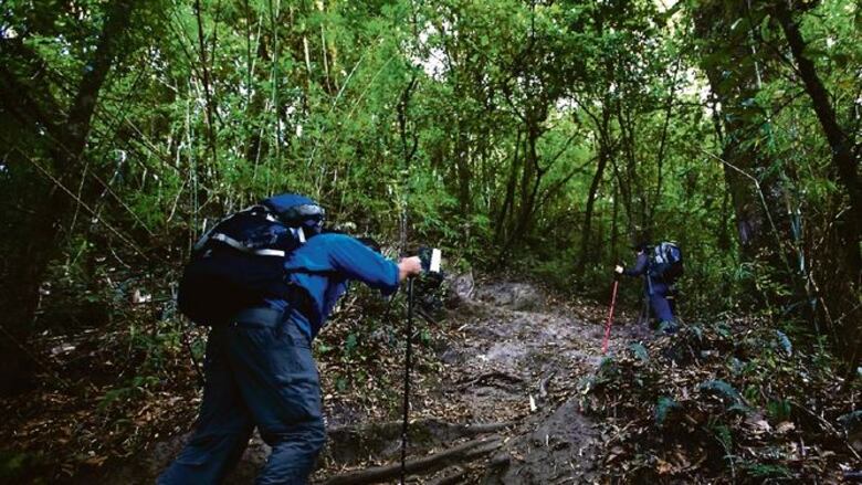 De vuelta al volcán