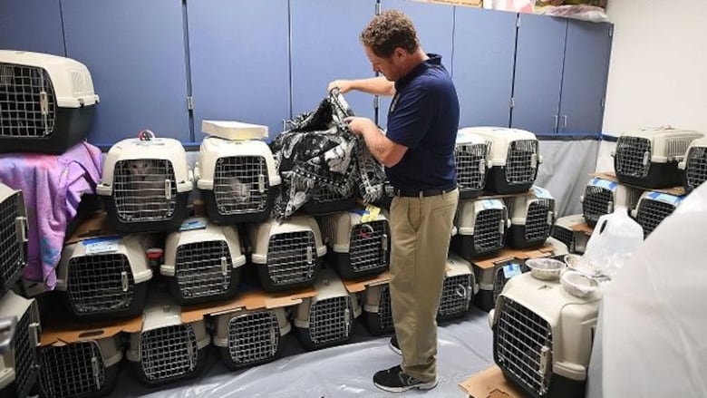 Huracán Matthew comienza a azotar a EU tras dejar 300 muertos en Haití