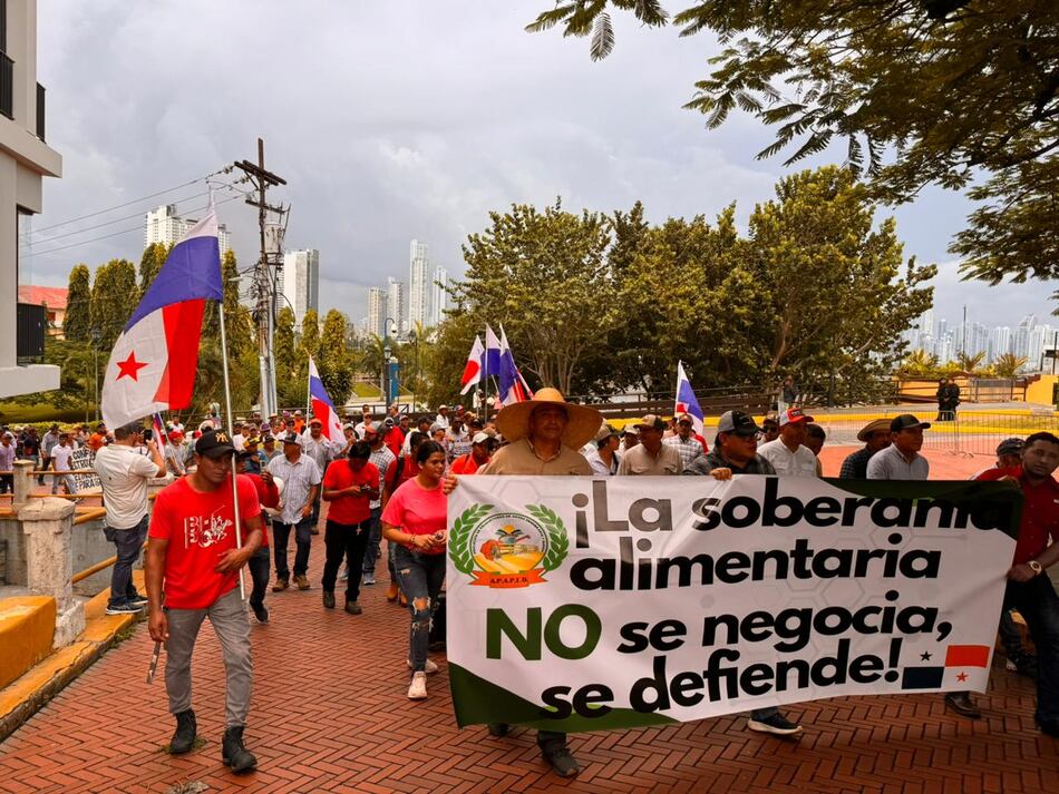 Arroceros marchan hasta la presidencia para reclamar pagos atrasados