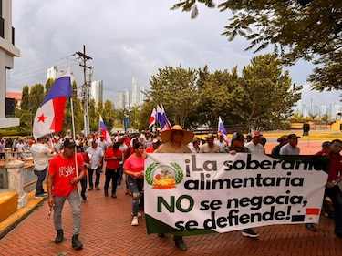 Arroceros marchan hasta la presidencia para reclamar pagos atrasados