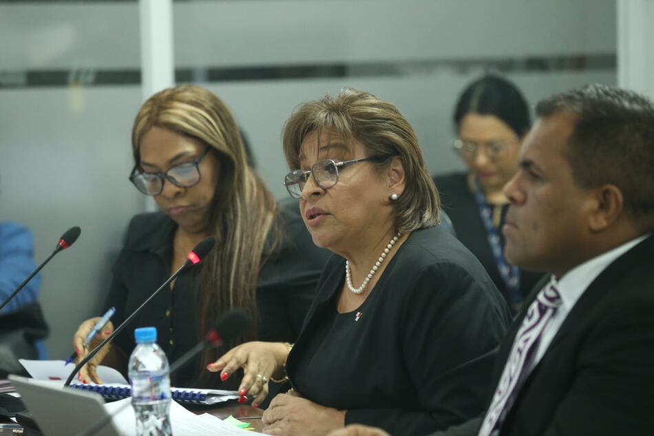 Ministerio de la Mujer sustenta presupuesto; prevé contratar 121 funcionarios en el 2024