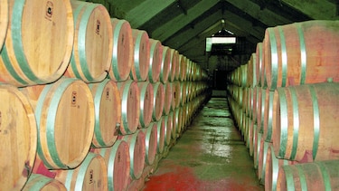 Acuerdan impulsar el comercio del pisco
