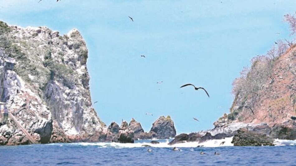 CIAM plantea prioridades ambientales a la bancada independiente