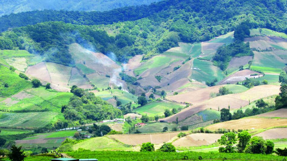 Cerro Punta es agua, carbono y oxígeno