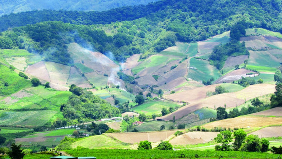 Cerro Punta es agua, carbono y oxígeno