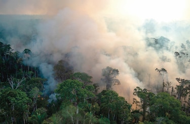 La Amazonía, un paraíso que está casi perdido