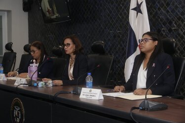 Avanza el proyecto que establece sanciones de hasta $500 por no usar la silla infantil en vehículos