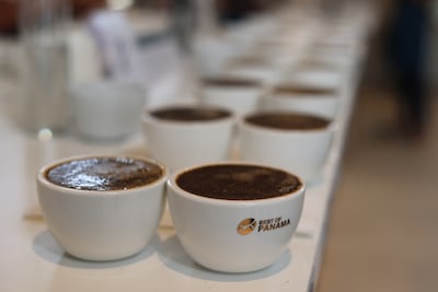 Café panameño alcanza los $18 mil por kilo y genera más de $3 millones en ventas en la subasta Best of Panama