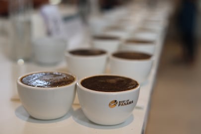 Café panameño alcanza los $18 mil por kilo y genera más de $3 millones en ventas en la subasta Best of Panama