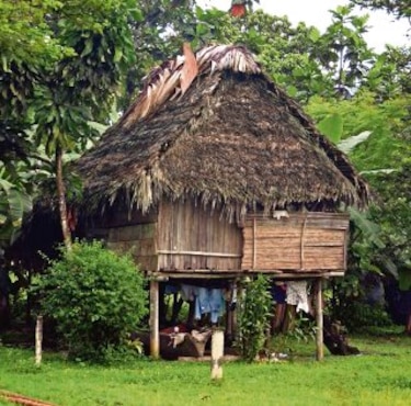 Muertes por leptospirosis en la comarca Ngäbe Buglé