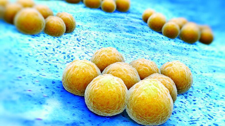 Microbios más resistentes