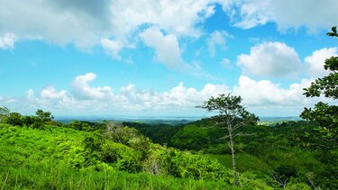 ‘Agua Salud’ y la reforestación inteligente
