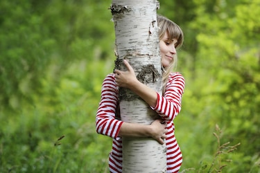 El gran poder de abrazar un árbol